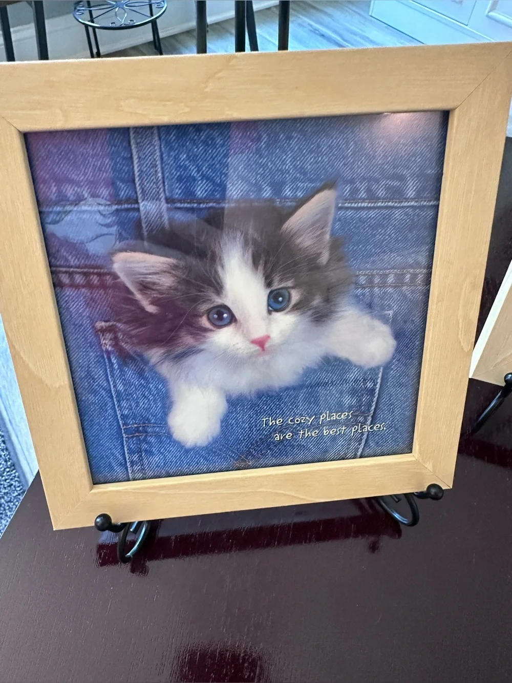Portal Set of 3 Framed Kitten Prints Cozy Places Friendship Purrfect Fit